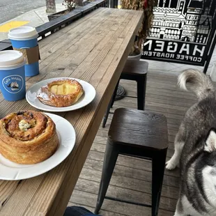 Latte, coffee, spanakopita, fruit danishes, cute dog