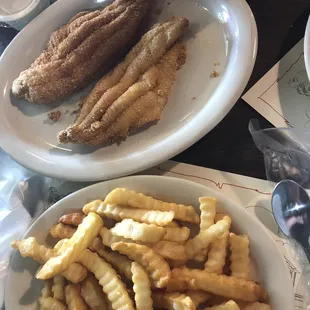 Catfish Filets