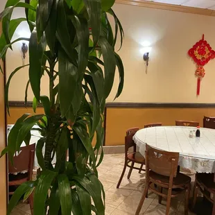 interior, ramen and noodles