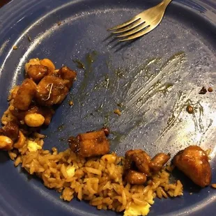 a blue plate with rice and meat