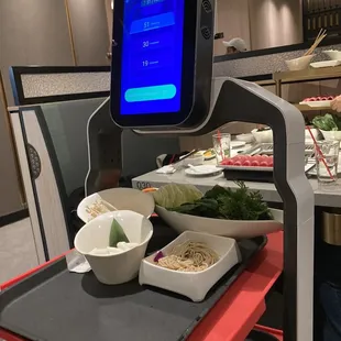 food delivery robot