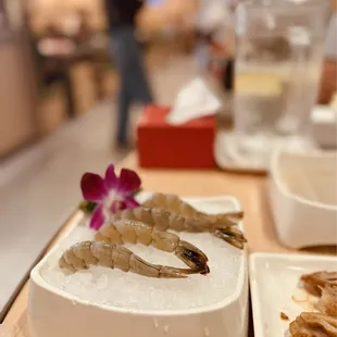 shellfish, food, oysters, oysters and mussels, mussels