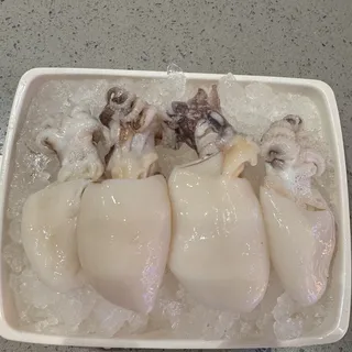 Baby Squid