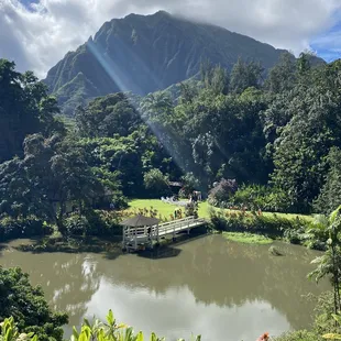 From Haleiwa Joe&apos;s...