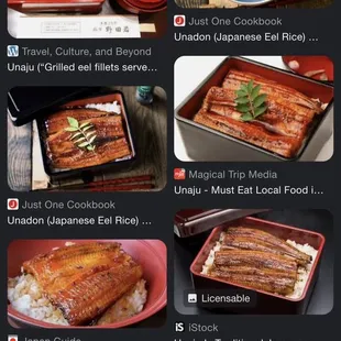 Normal eel bowl in Japan