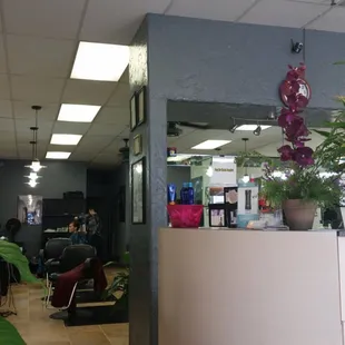 Hair Evolutions lobby and studio.