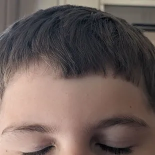 Haircuts Plus