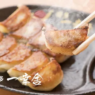 Ikkousha Hitokuchi Gyoza. Size is designed to eat in one bite with ramen