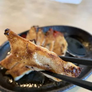 Gyoza
