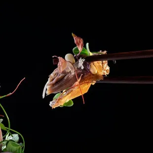 Crispy Duck Salad