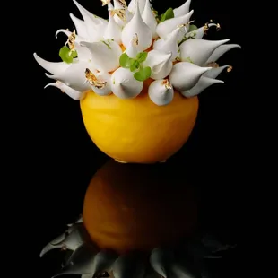 Spikey Lemon
