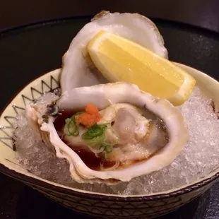 Oysters