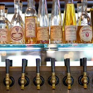 drink, oysters and mussels