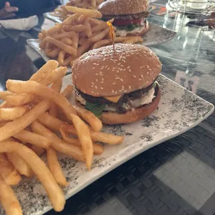 Cheese Burger with Fries