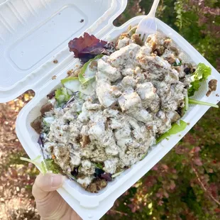 Salad with beef gyro.  @_emwong_