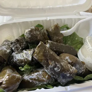 A few dolmas? No! A plethora of dolmas!! At least 9 or 10. Totally worth the money!