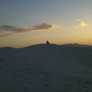 S M.