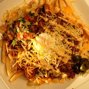 Birria loaded Halal Cuts fries