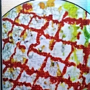 NY Style Gyro , (Lamb Or Chicken or Mixed)