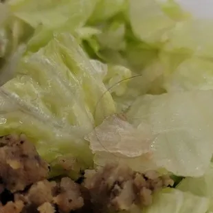 hair in the food