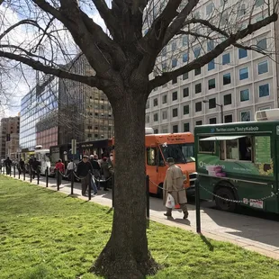a line of food trucks