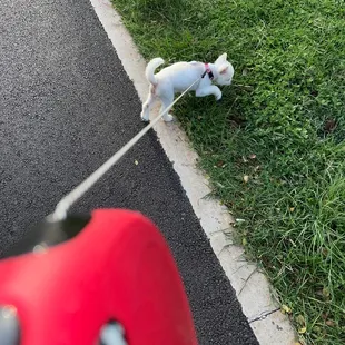Getting in the sniffs