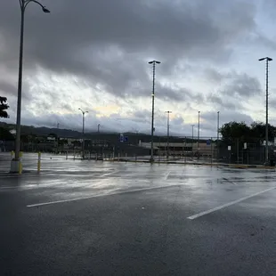 Wet walking at the park today
