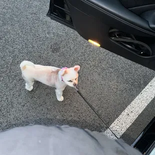 Park walking