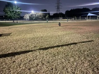 Fort Woof Dog Park