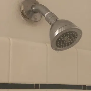 A nasty showerhead...