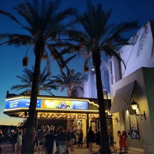 palm trees in front of the theater