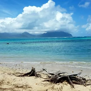 Gorgeous view of the mountains