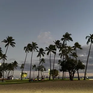 On the Waikiki strip