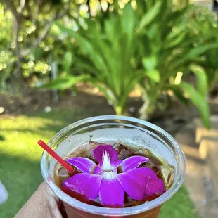Free Mai Tai per adult - yay!