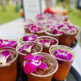 Welcome Mai tais