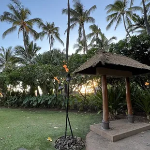 a gazebo in a tropical setting