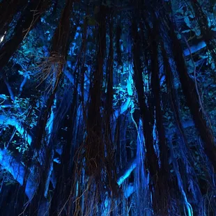 Nighttime shot outside mini mart