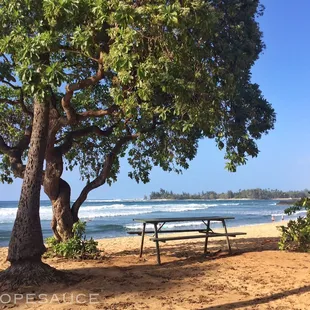 I could sit at this bench all day!