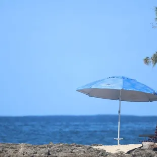 Beach chairs and umbrellas