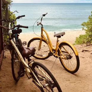 Beach cruisers