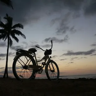 Bike Rentals