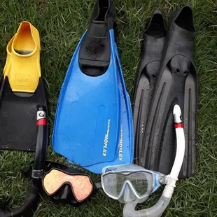 Snorkel sets daily or weekly!