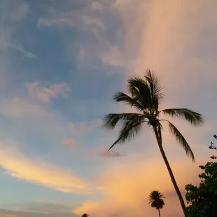 Ali&apos;i beach park