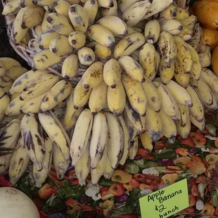 Ftesh Sugar Cany Bananas