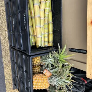 a pineapple and a pineapple