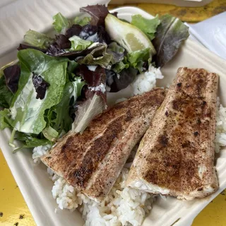 Gr Mahi Mahi