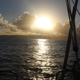 Sun Rise Haleiwa Shark Tours