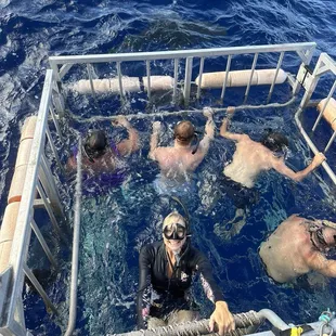 Climbing out of cage.