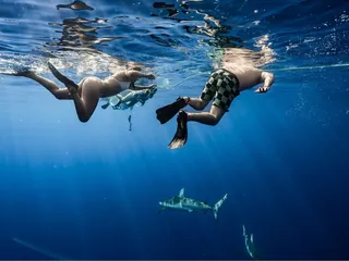 Hawaii Ocean Adventure Tours