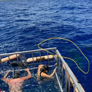 Shark near my daughter !